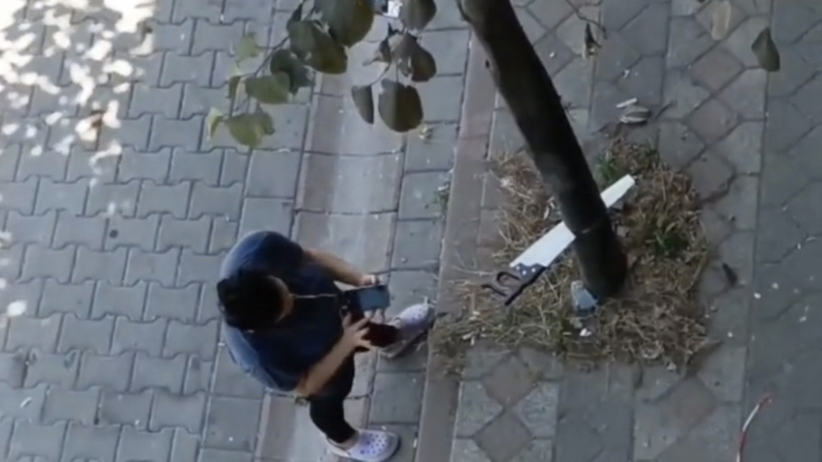 Sultangazi'de testereyle ağaç kesen kadın olay yerine gelen ekiplere tepki gösterdi