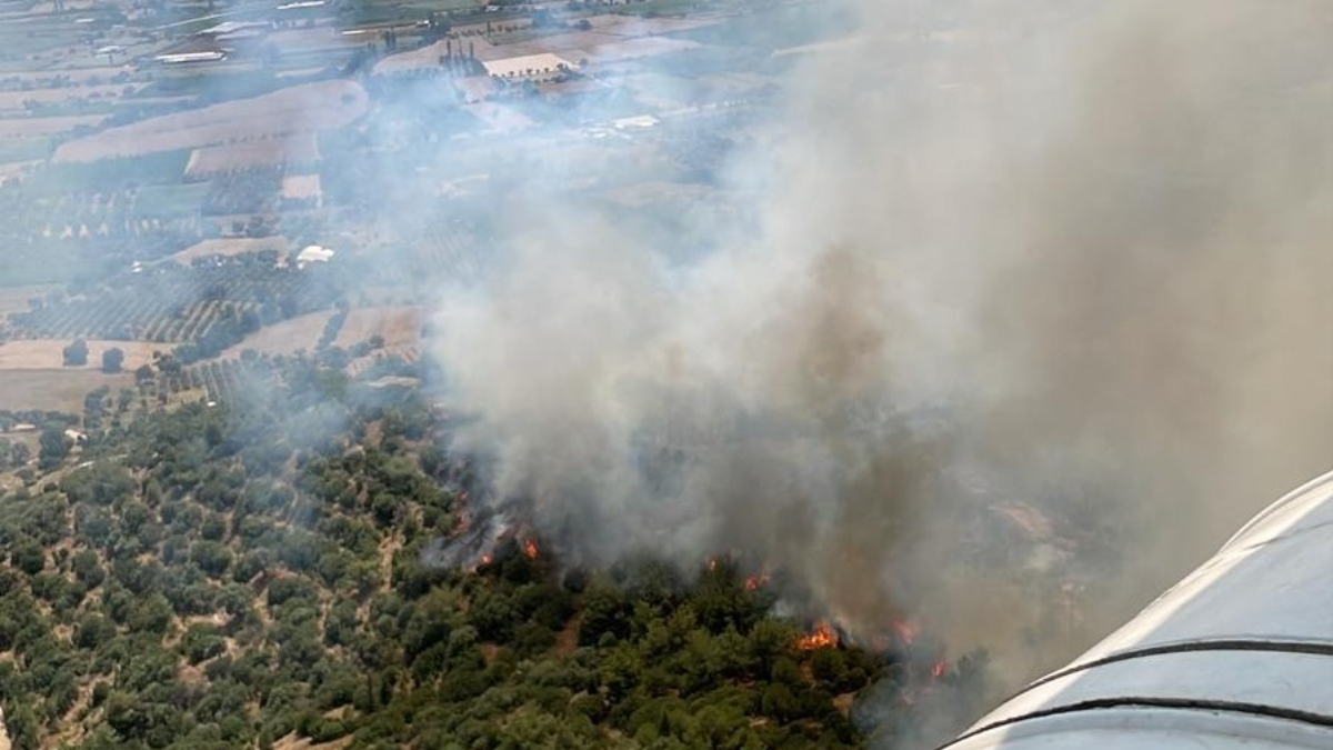 İzmir'de 2 noktada orman yangını çıktı! Havadan karadan mücadele ediliyor