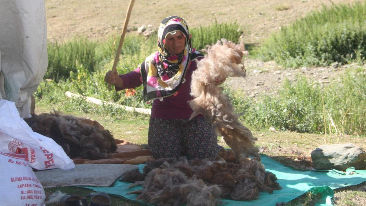 Elazığ'da 2 bin 500 rakımda ekmek mücadelesi