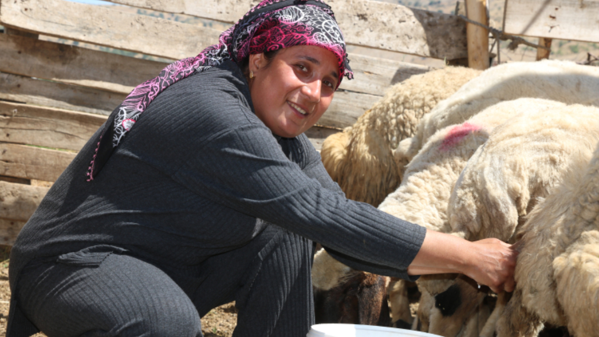 Malatyalı depremzede besici devlet desteği ile işine döndü