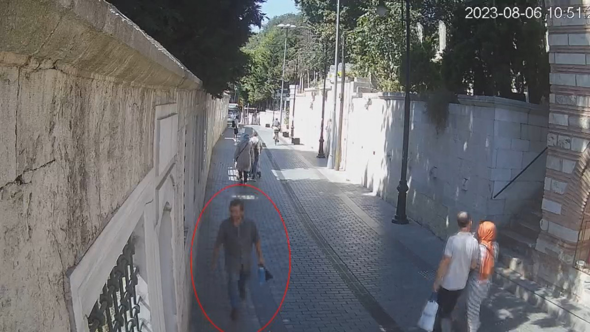 İstanbul'da kedilere kezzap ve asitle zarar veren saldırgana para cezası verildi