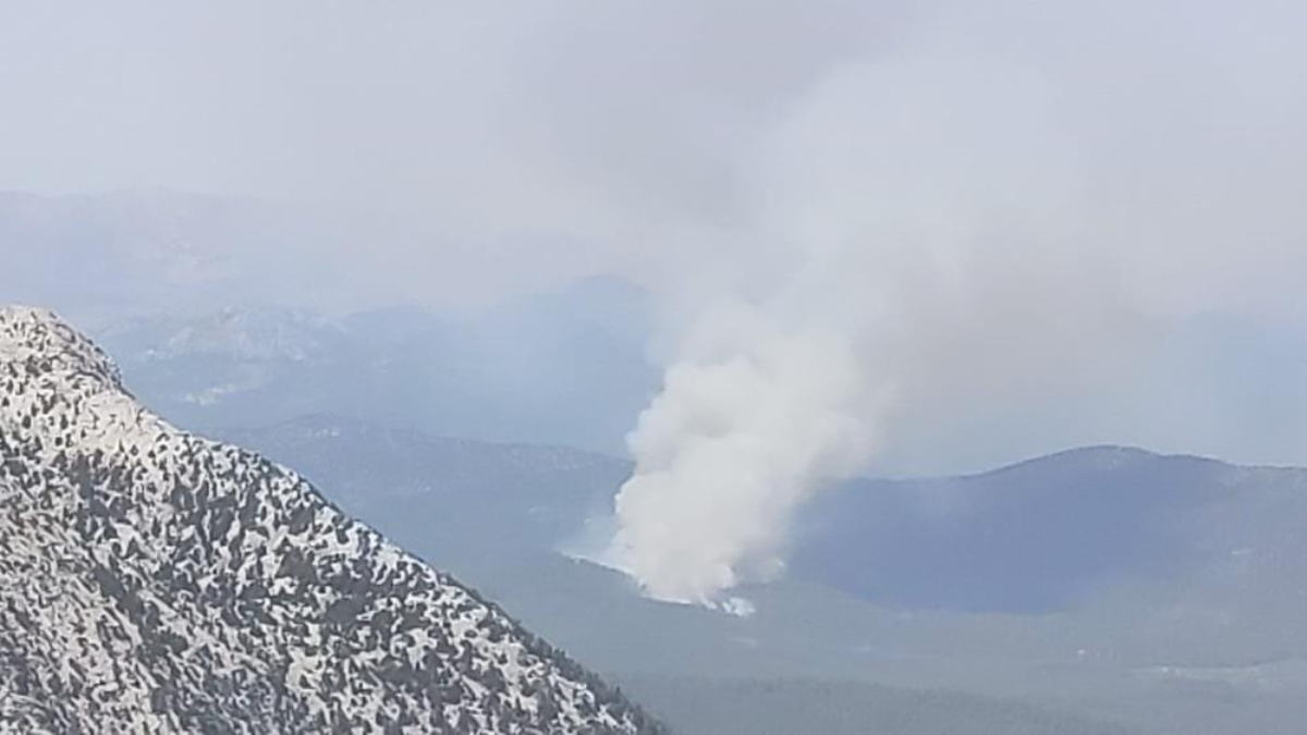 Antalya’da orman yangını başladı