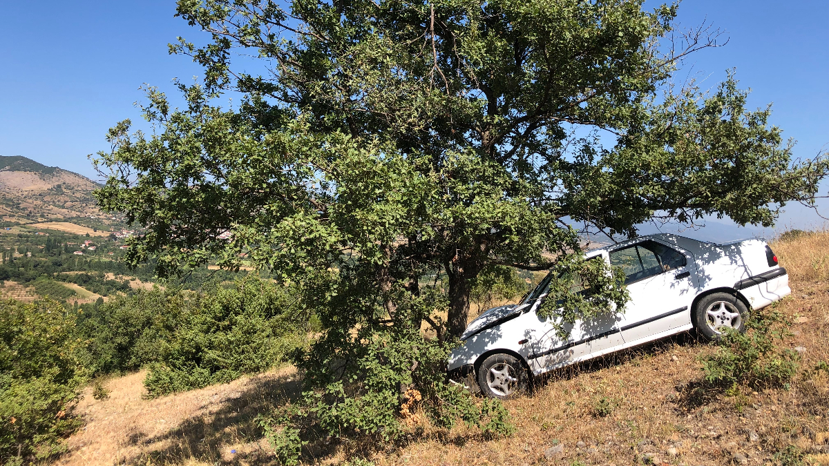 Amasya'da tabelaya çarpan otomobil uçuruma sürüklendi: Ağaç hayatını kurtardı