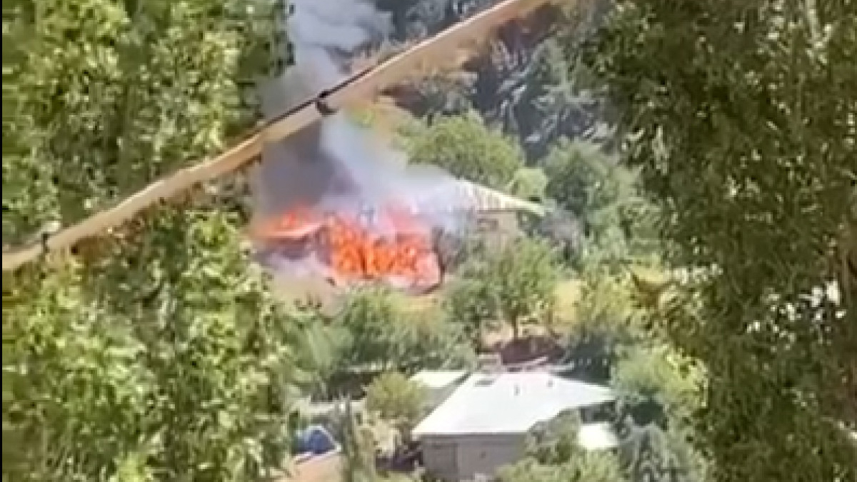 Adana'da evde başlayan yangın ormana sıçradı: 3 saat sonra söndürüldü