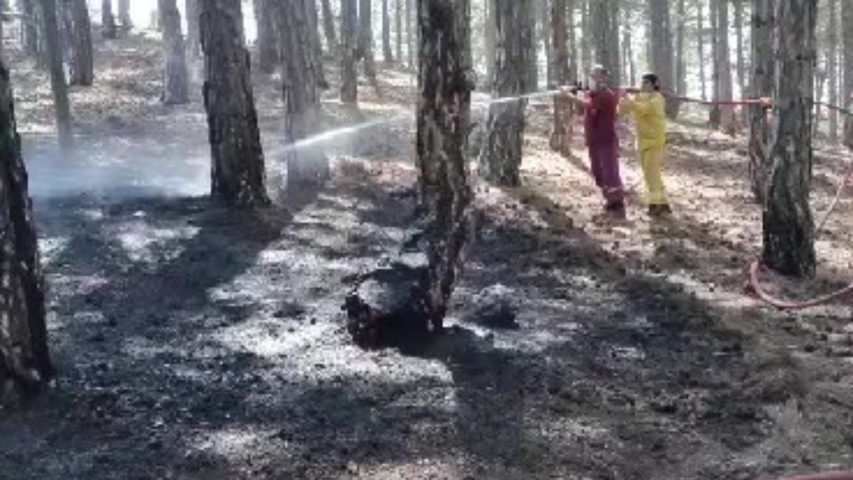 Denizli'de başlayan orman yangını söndürüldü
