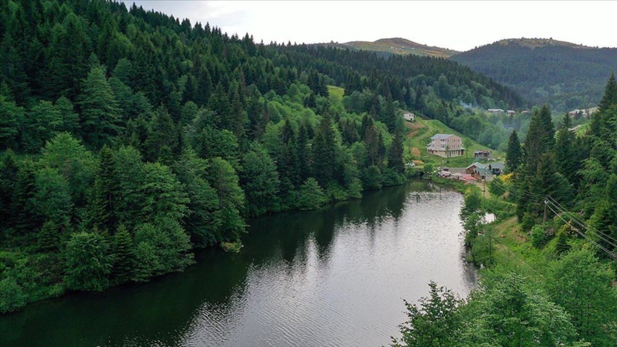 Uzmanlara göre sıcak havadan kaçanların rotası: Karadeniz