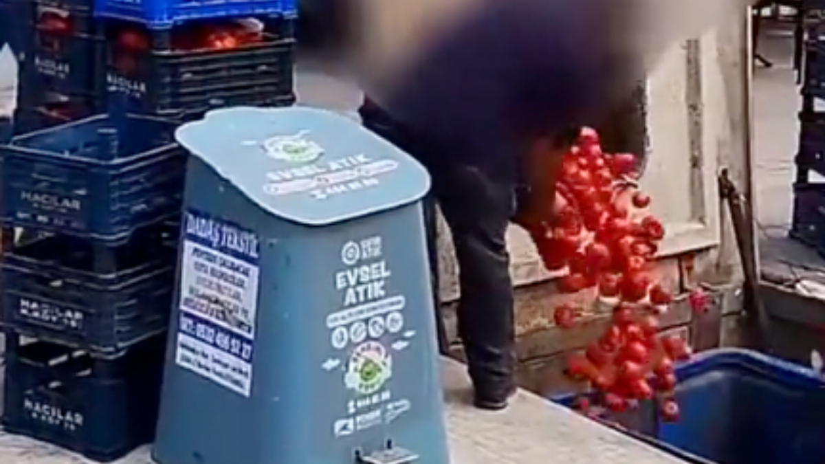 İstanbul'da zincir market çalışanları kasa kasa domatesleri çöpe attı