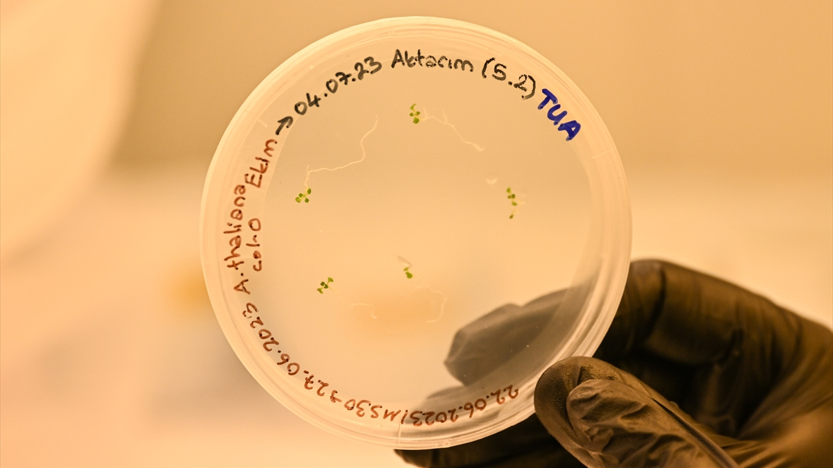 Türk bilim insanları, uzay görevinde bitki yetiştirecek