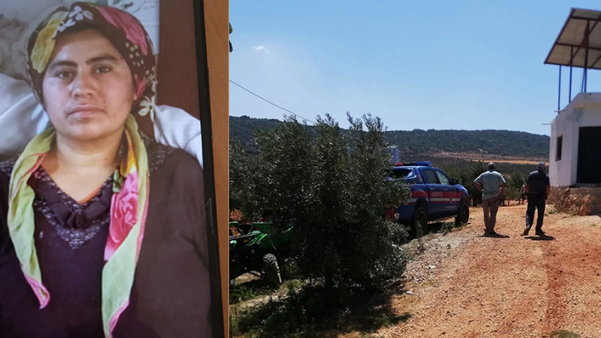 Hatay'da 7 gündür aranan kadın, zeytinlikte ölü bulundu