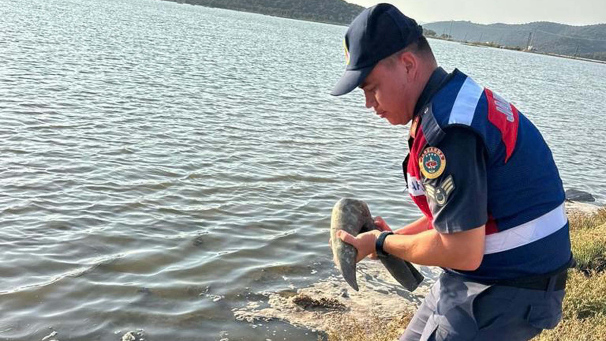 Muğla'da bronz heykelin çalınan başı bulundu