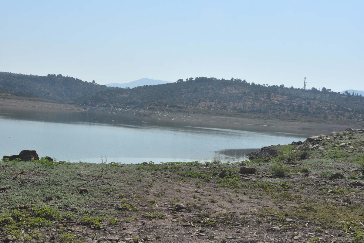 Bodrum'da altyapı sorunları kontrolden çıktı: İçme suyunda salgın riski