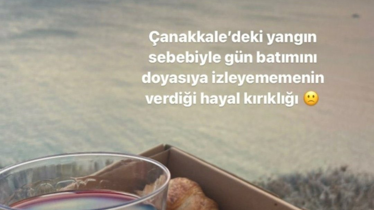 Çanakkale'deki orman yangınıyla ilgili tepki çeken paylaşım