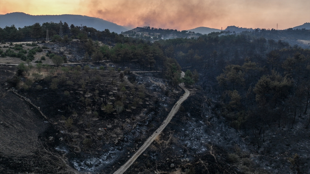 Çanakkale orman yangınında 2'nci gün! Ağaçlar küle döndü...
