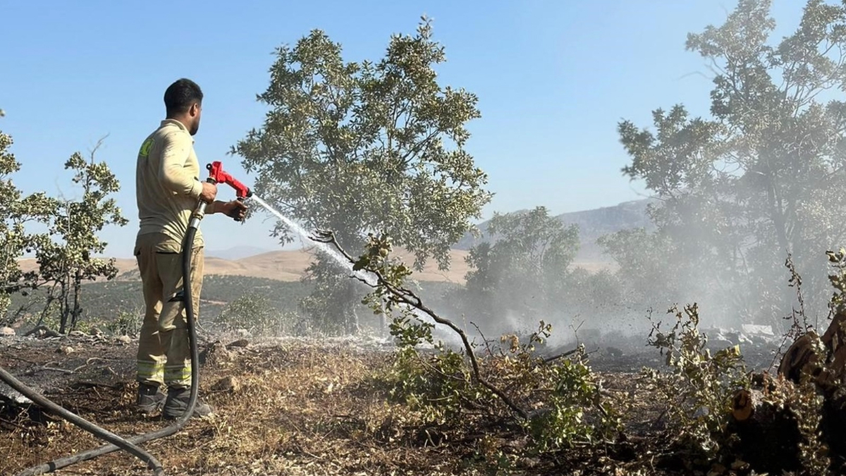 Siirt'teki yangın 17 saatte kontrol altına alındı