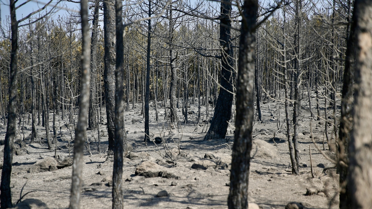 Eskişehir'de yangın 2'nci gününde kontrol altına alındı