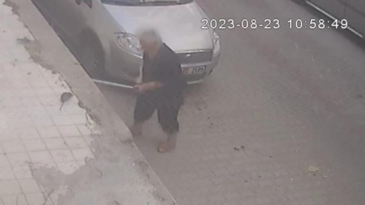 İzmir'de şaşırtan olay: Fare elini ısırdı, hastanelik oldu