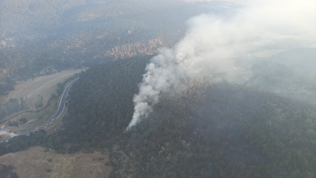 Eskişehir'de yangının 2'nci gününde havadan müdahale