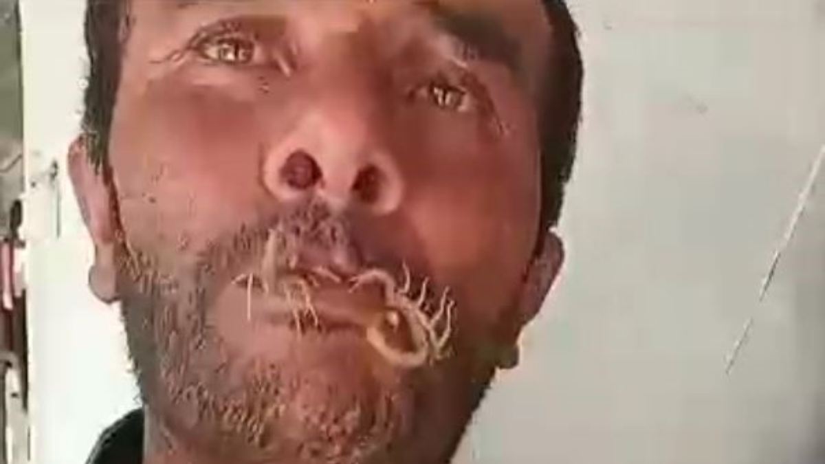 Antalya'da akreplere kendini sokturuyor: Hayvan sevgim çok fazladır