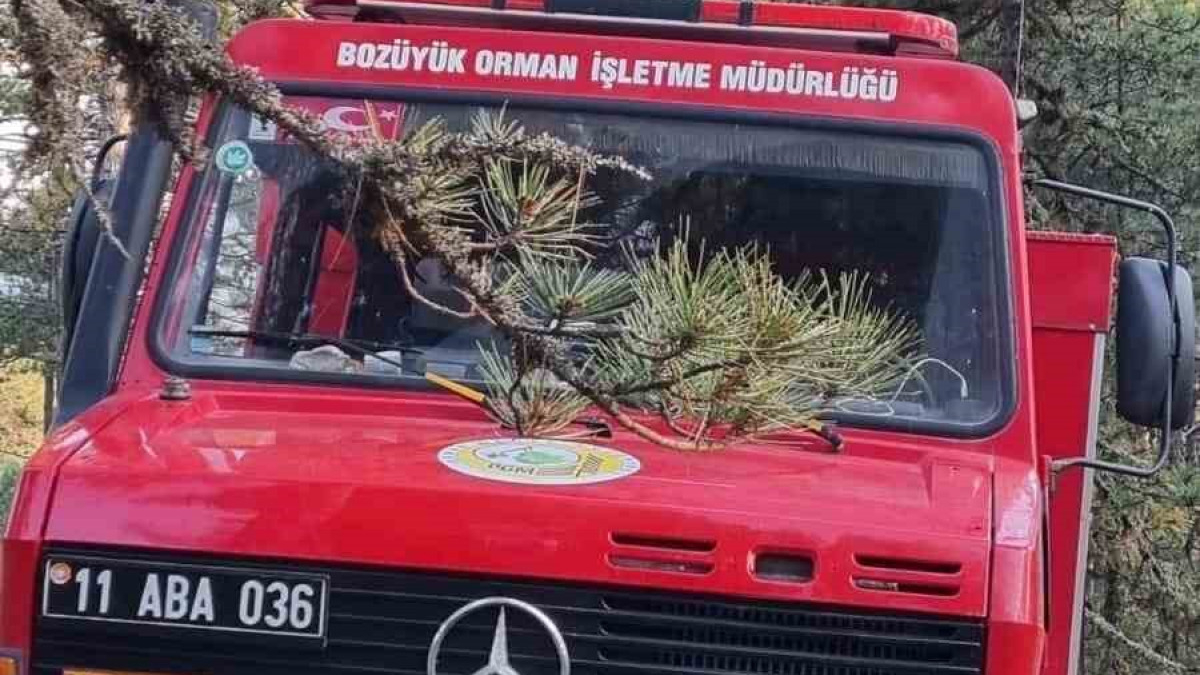 Bilecik'te yıldırım düşmesi sonucu yangın paniği