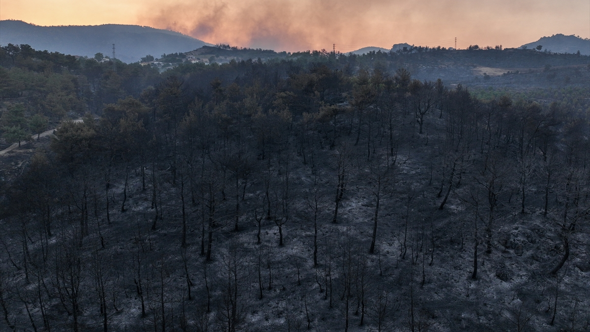 2 gün boyunca alev alev yandı! Çanakkale'deki orman yangınında soğutma çalışması devam ediyor