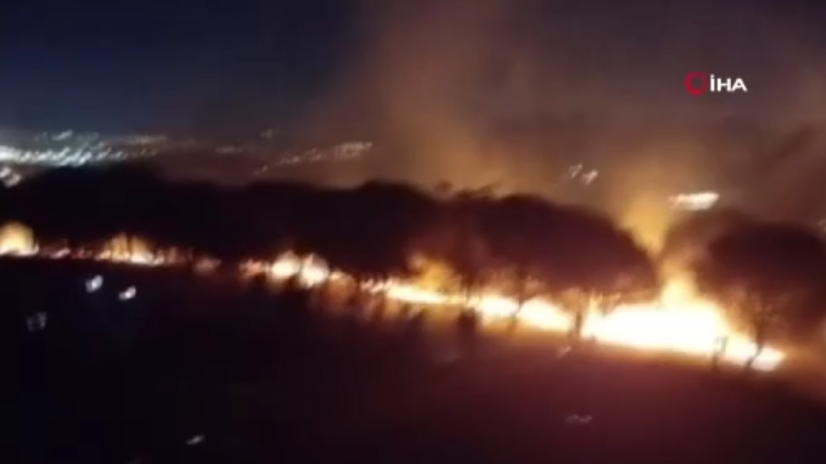 Maltepe'de ormanlık alanda yangın