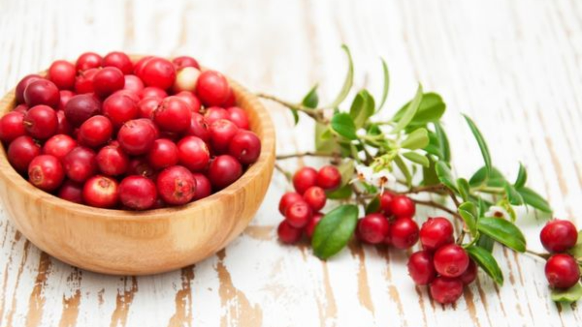 Bunu içen doktor yüzü görmüyor! Kızılcık suyunun mucizevi faydaları saymakla bitmiyor..