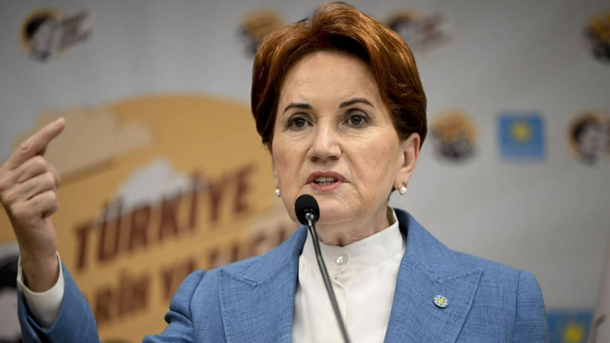 Meral Akşener, Ali Babacan ve Ahmet Davutoğlu'nun sözleriyle ilgili konuştu: Haklılar