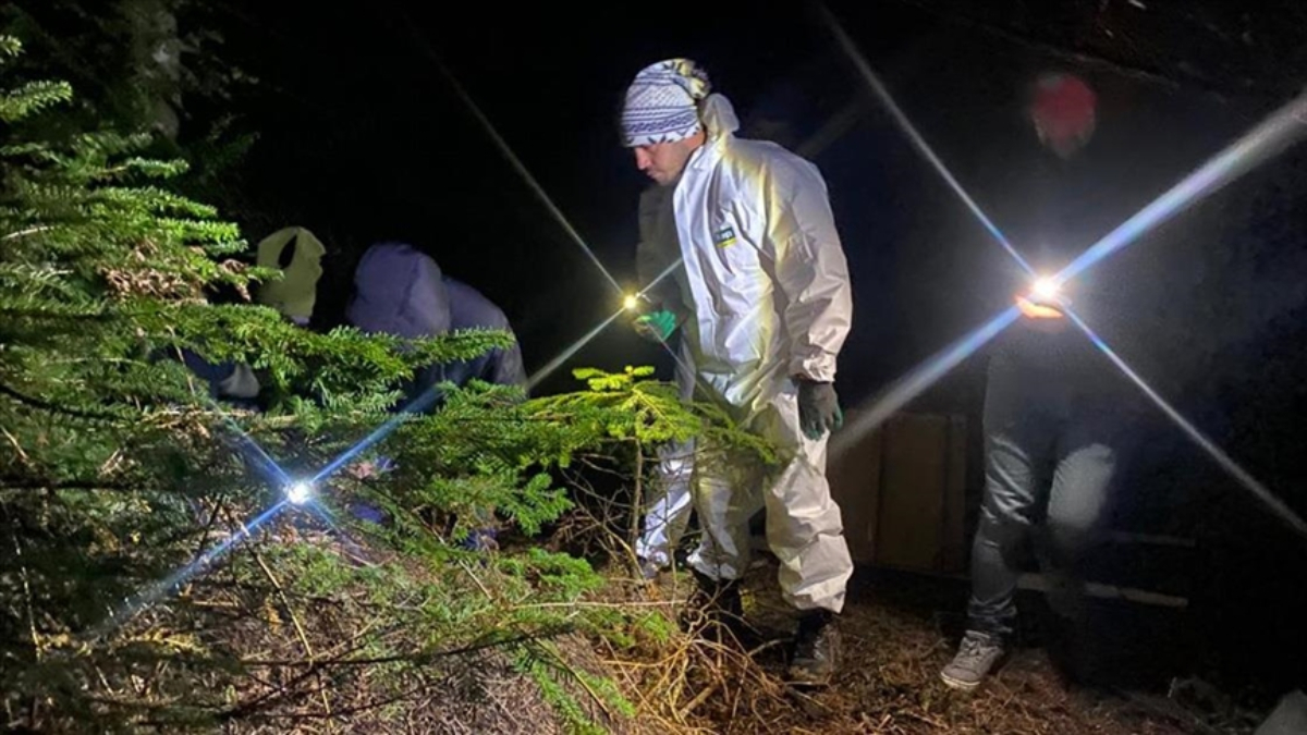 Ormanlarda "dumansız yangına" karşı biyolojik önlem