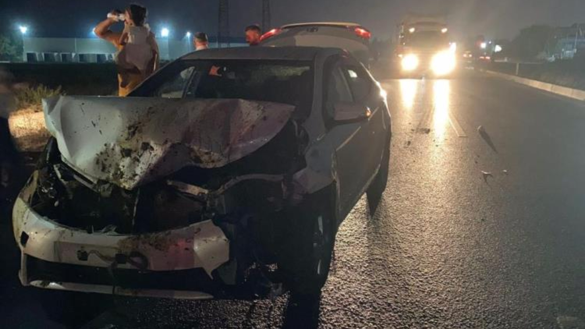 Adana'da otomobilin çarptığı sürüdeki 100 kadar koyun telef oldu