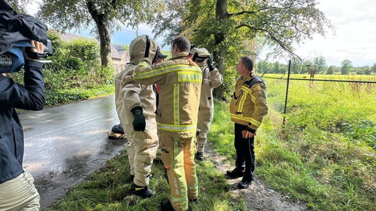 Belçika'da arı saldırısı: Çok sayıda kişi hastanelik oldu