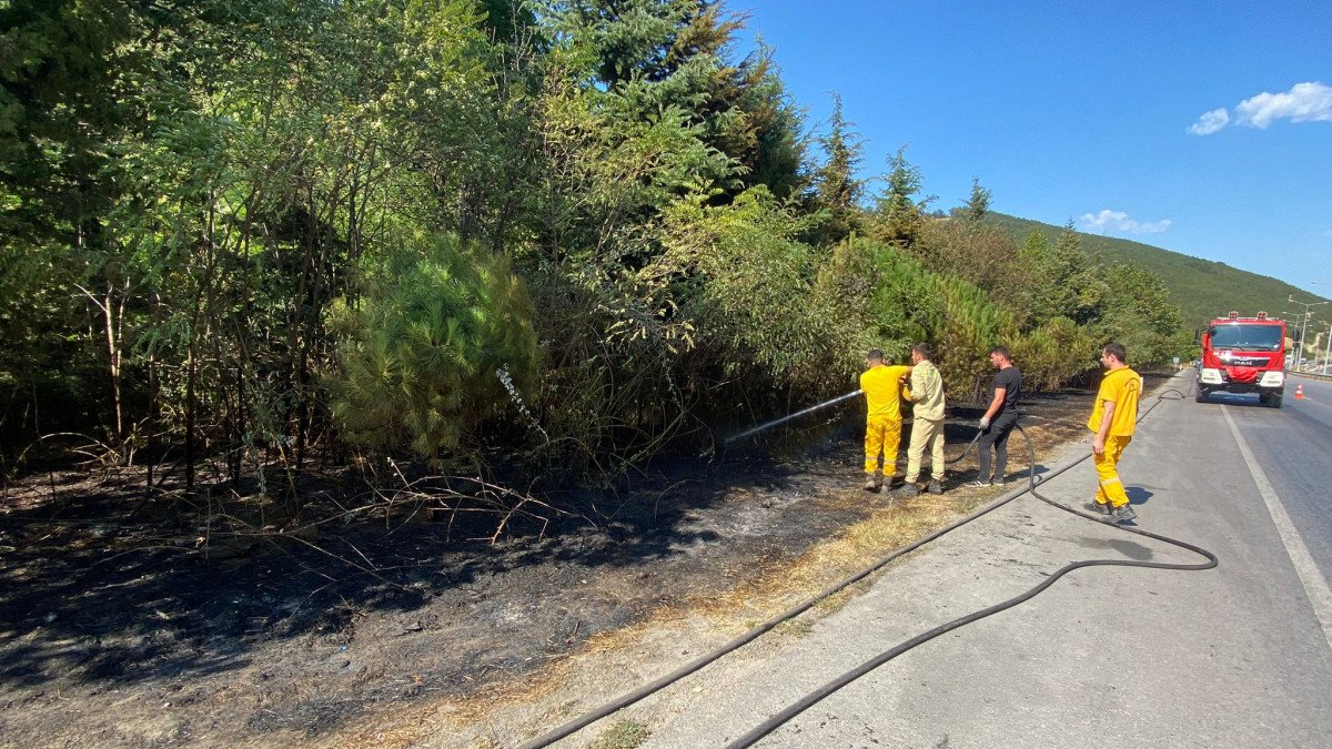 Samsun'da yol kenarına atılan sigara izmariti yangın çıkardı