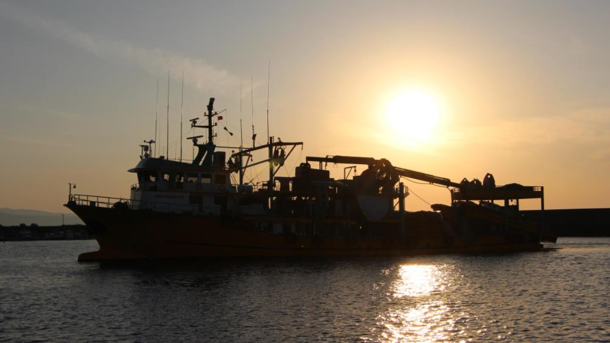 Balıkçılar 'Vira Bismillah' diyerek denize açıldı