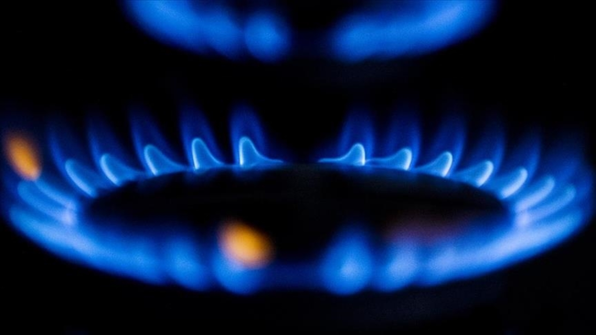 Türkiye'de doğalgaz abonesi sayısı 20 milyonu aştı