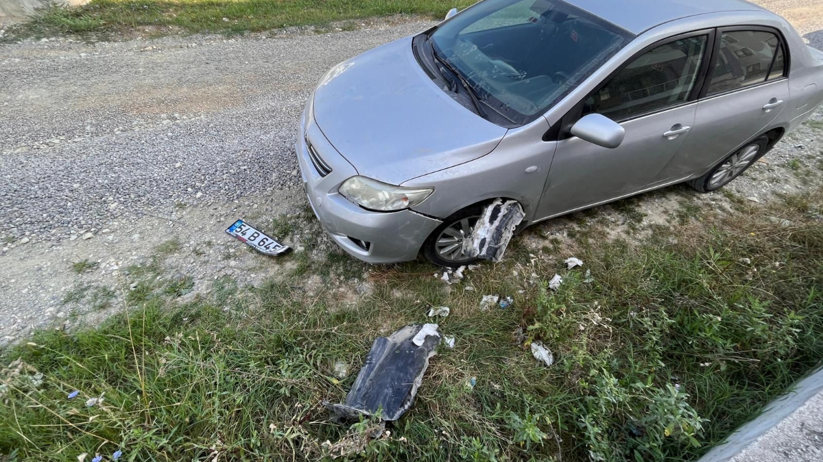 Sokak köpekleri bu kez Sakarya'da otomobili parçaladı