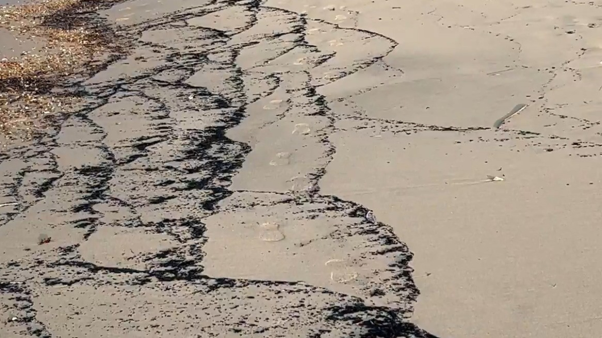 Çanakkale'de orman yangının ardından sahil siyaha büründü