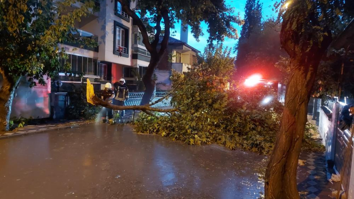 Manisa'da fırtına ağaçları kökünden söktü