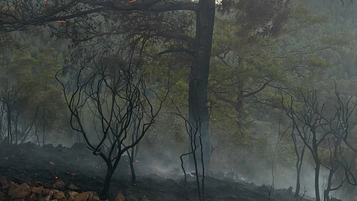 Muğla'da düşen şimşekler 1 günde 36 yangına sebep oldu