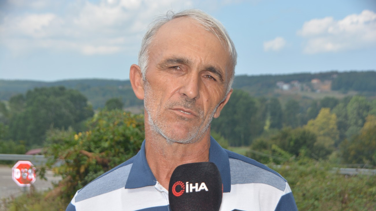 Sinop'ta 20 tane başıboş köpek saldırısına uğradı