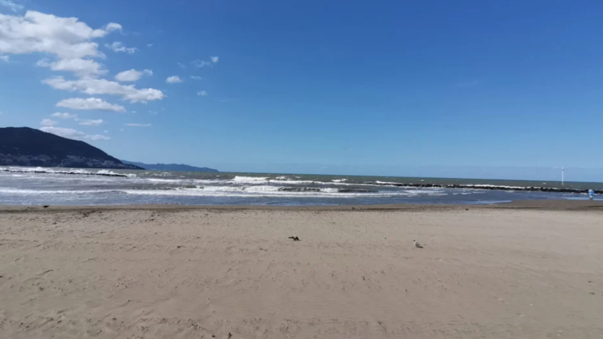 Ordu'da denize girişler yasaklandı