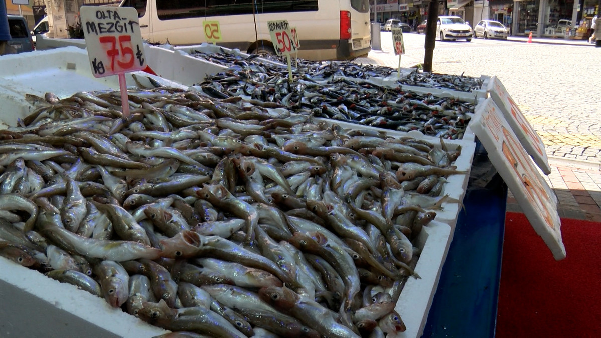 Rize'de hamsinin bollaşmasıyla fiyatı 50 TL'ye düştü