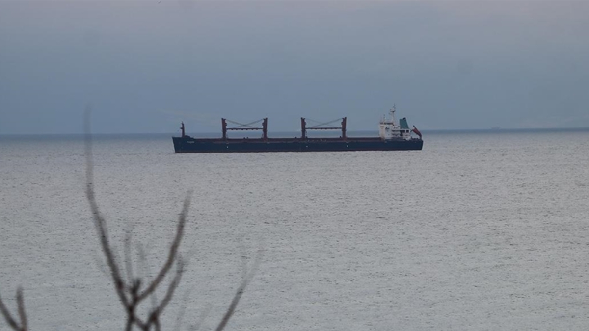 Tekirdağ'da yük gemisinden çalınan 84 ton buğday ele geçirildi