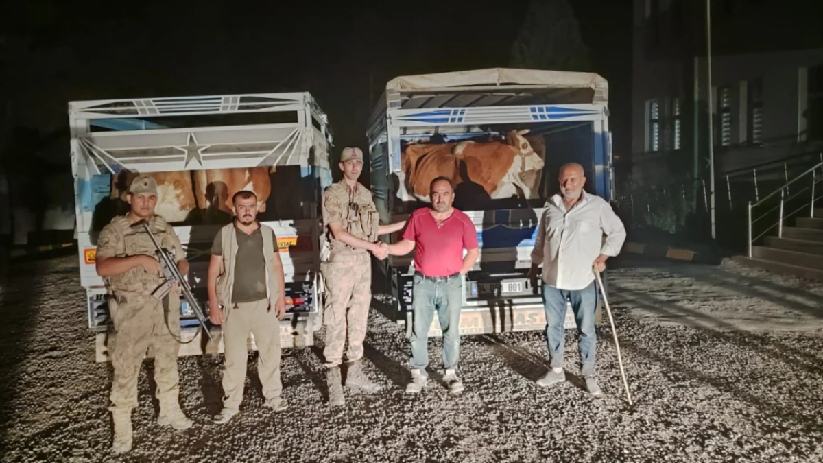 Siirt'te bir hırsız çaldığı büyükbaş hayvanları satmaya çalışırken yakalandı