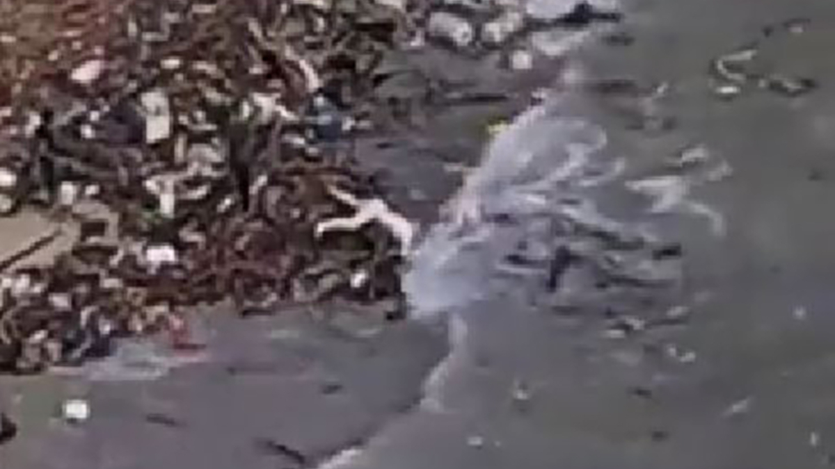 Libya'da sel felaketi: Cesetler kıyıya vurdu