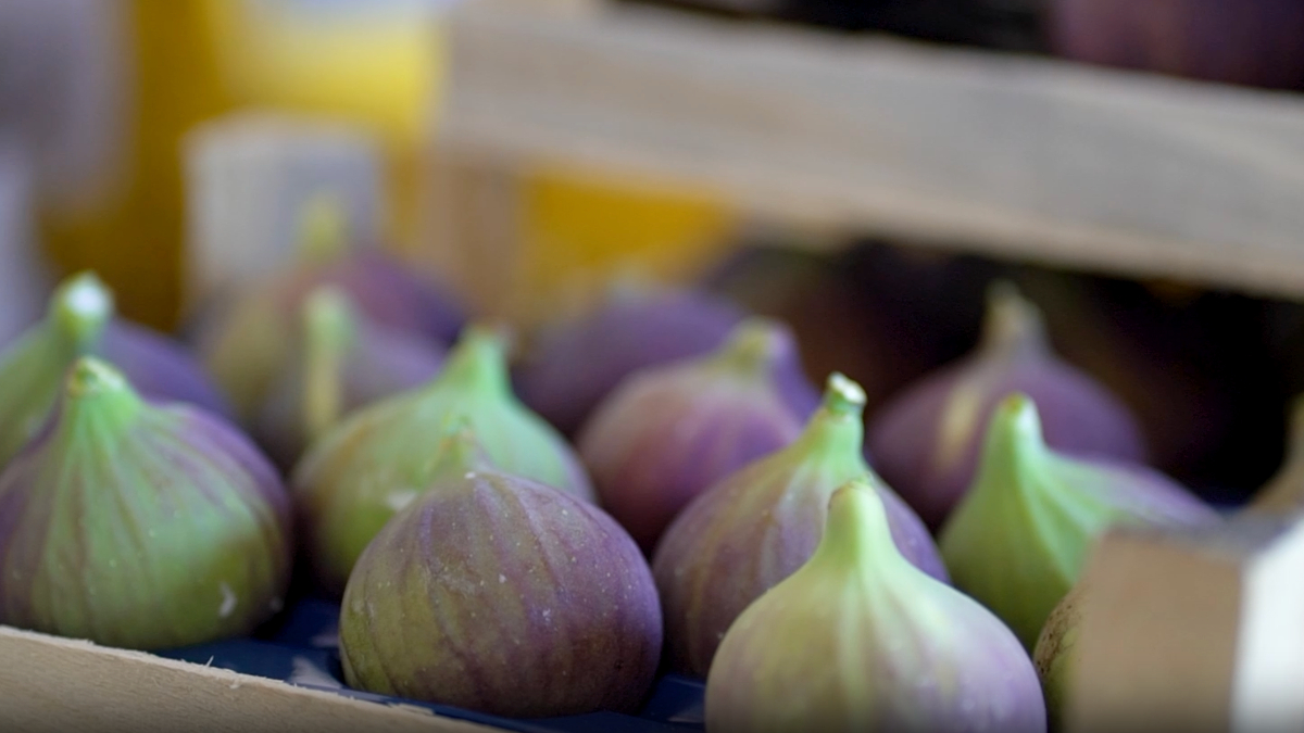 Bursa'nın marka tarım ürünleri! Siyah incir hasatı başladı...