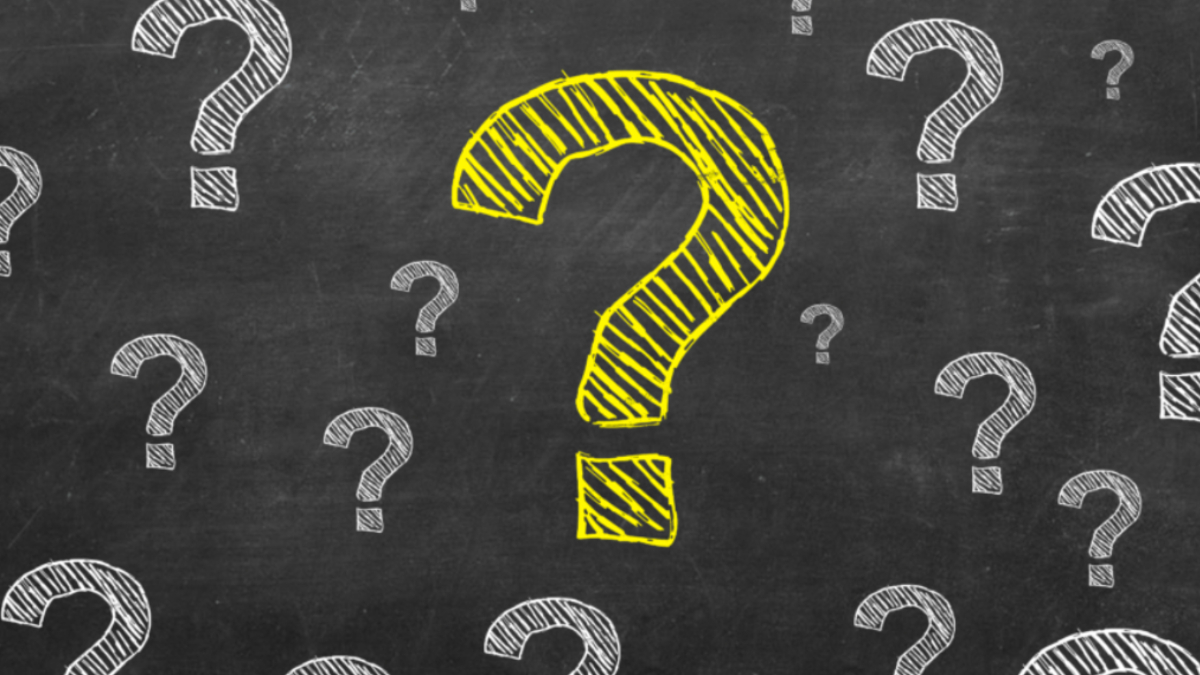 Duyunca inanamayacağınız ilginç bilgiler! Kutup ayısı ciğeri yerseniz bakın ne olur..