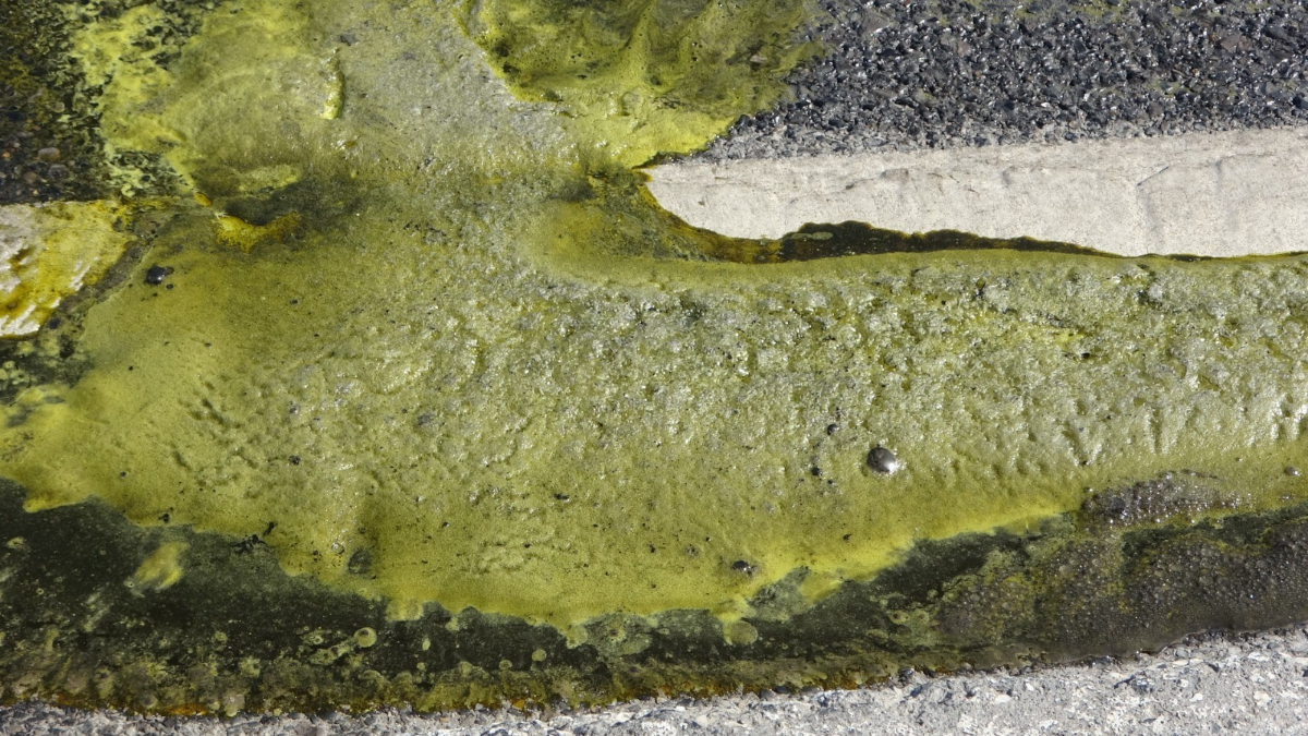 İstanbul'da yola bırakılan kimyasal madde panik yarattı