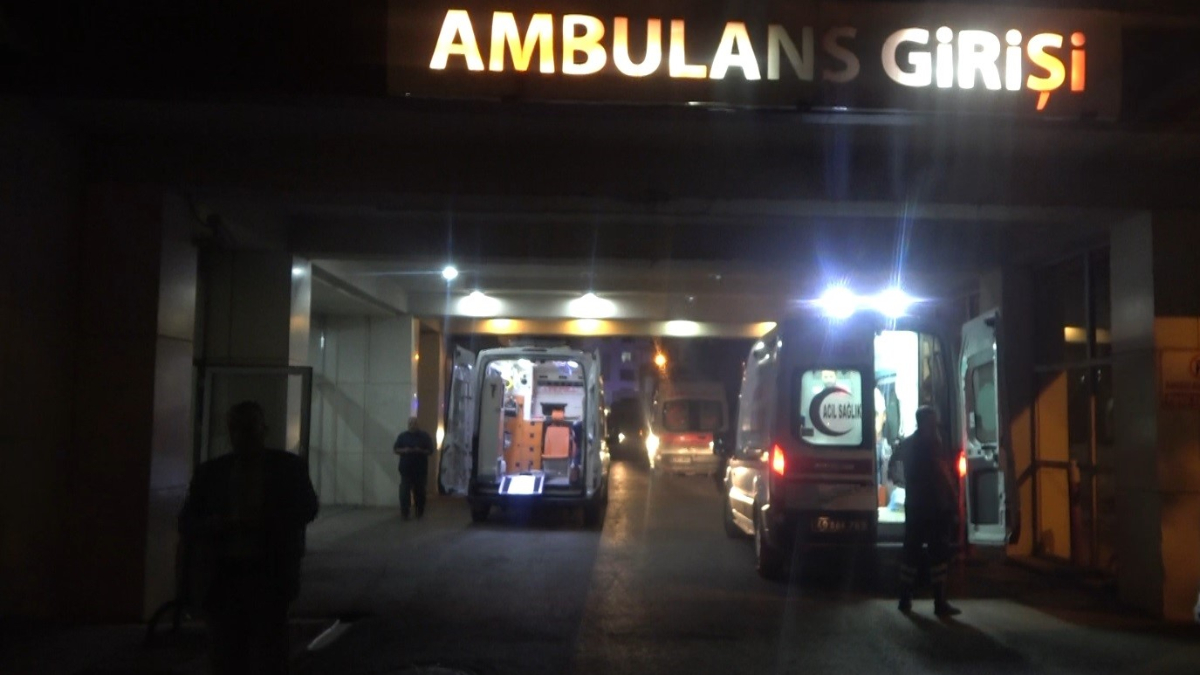 Muş'ta armut toplarken ağaçtan düşen şahıs yaralandı