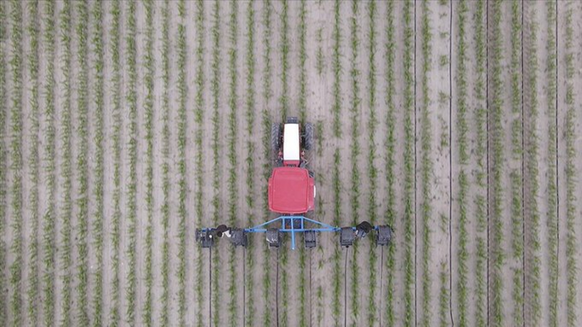 Tarımsal Üretimin Planlanması Kurulu oluşturulacak