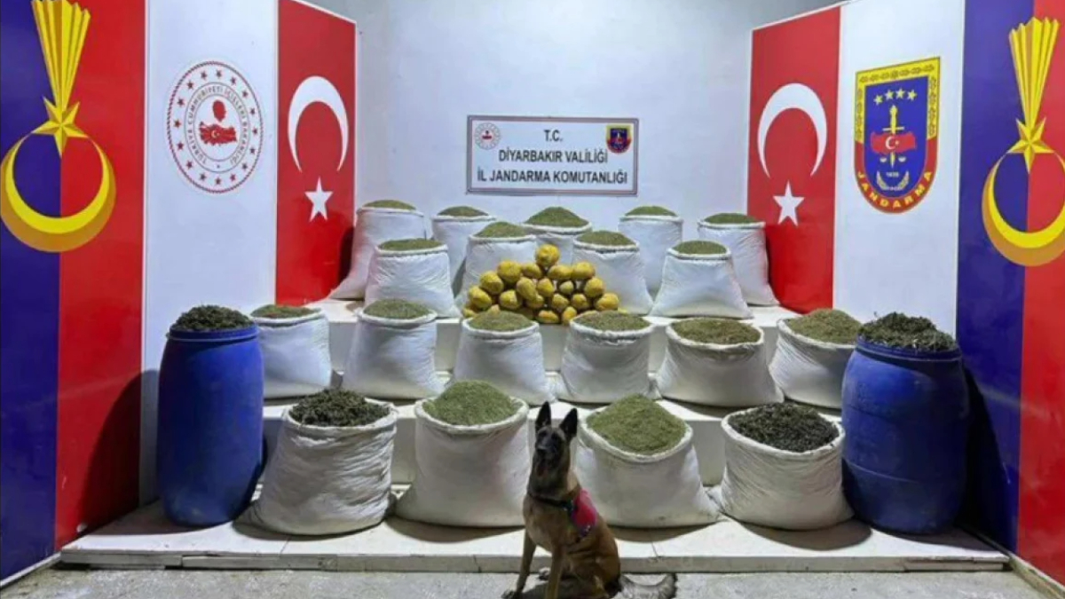 Bakan Ali Yerlikaya duyurdu: 10 ilde 265 zehir taciri yakalandı