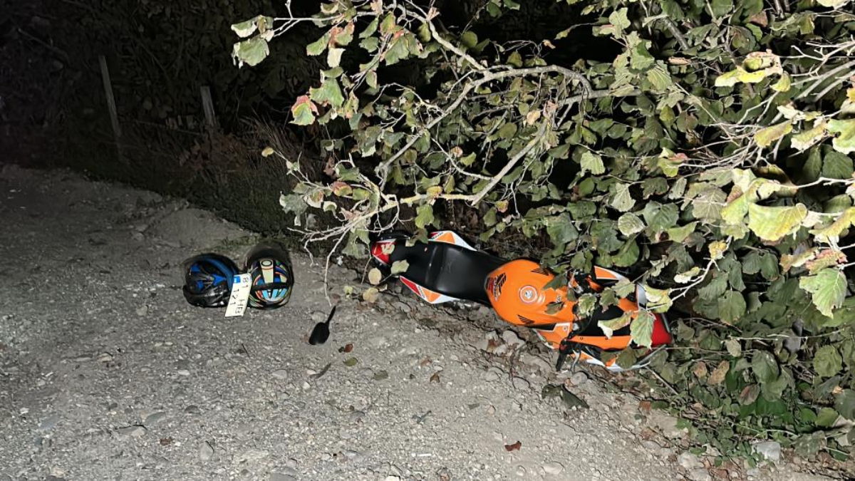 Düzce'de trafik tabelasına çarpan motosiklet fındık bahçesine uçtu